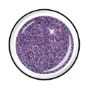 Phantasy smoothie - Color Gel nail, nail art, color gel, hard gel, artificial nails, nail tech, gel polish