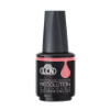 Winter Rose – Recolution Advanced  - 21403-877