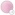 Cool Pink