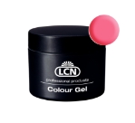 Pink Butterfly - Colour Gel 